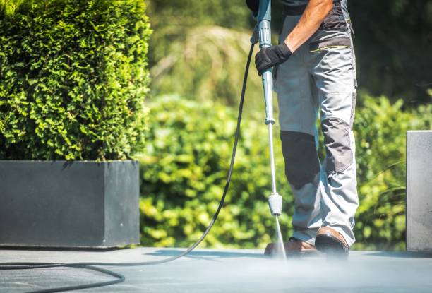 Best Spring Cleaning  in Orting, WA